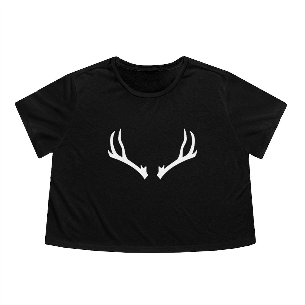 6-point Antler